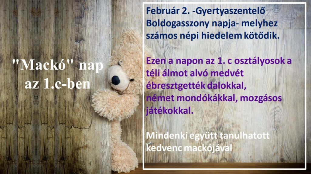 „Mackó” nap az 1.c-ben
