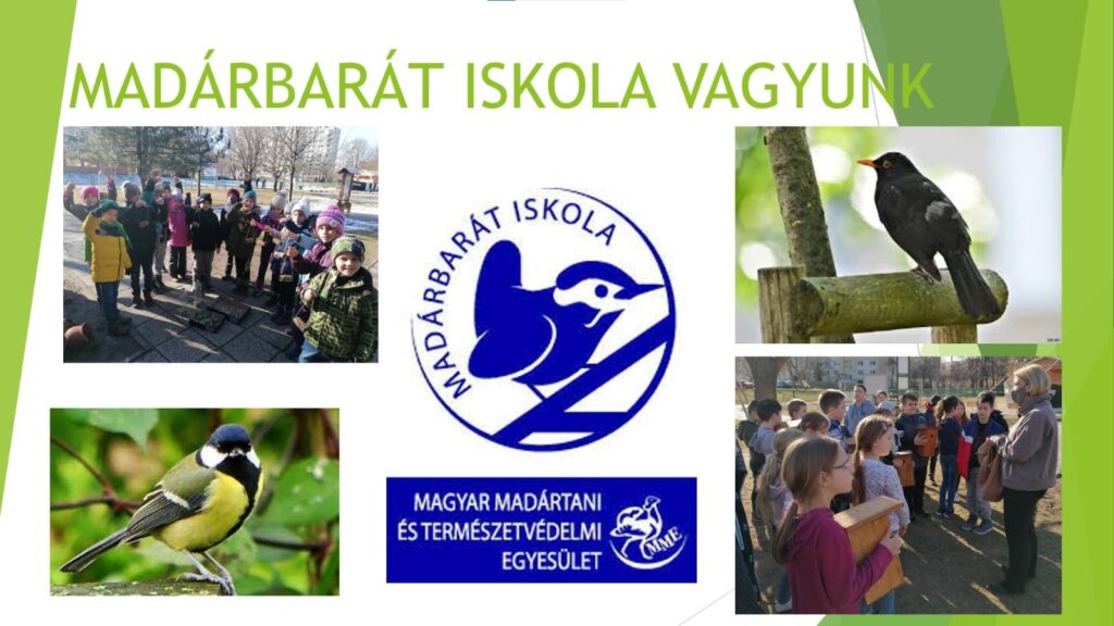 „Madárbarát iskola” – természetvédő projekt az MNÁMK-ban