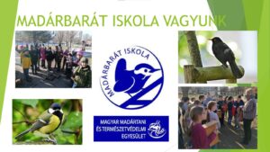 „Madárbarát iskola” – természetvédő projekt az MNÁMK-ban