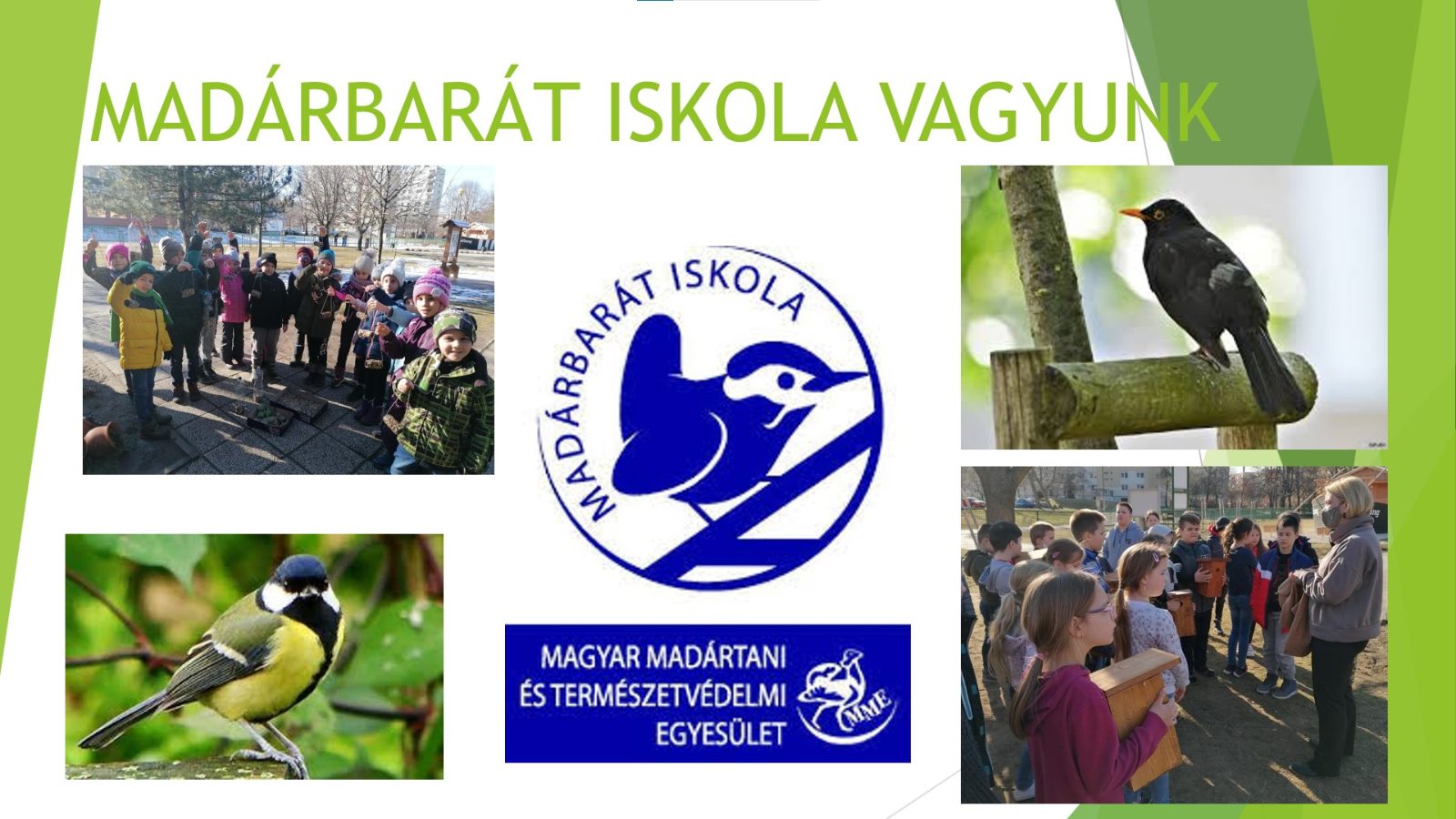 „Madárbarát iskola” – természetvédő projekt az MNÁMK-ban