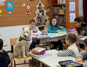 Állatvédelmi témahét
